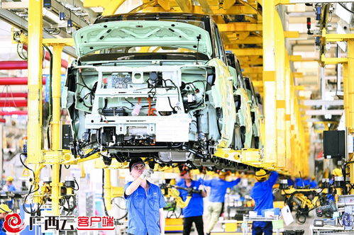非凡十年 自豪八桂丨七度登頂全球新能源單一車(chē)型銷(xiāo)量冠軍 探訪(fǎng)柳州新能源汽車(chē)生產(chǎn)基地